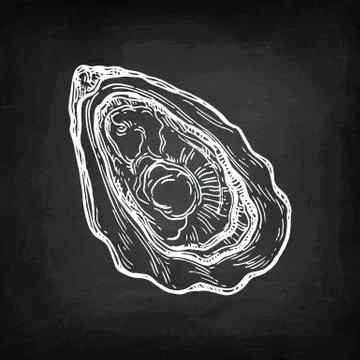 Oyster chalk sketch Illustrazione stock
