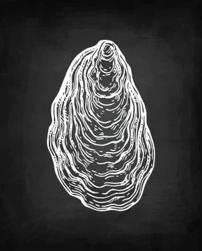 Oyster chalk sketch Stock Illustration