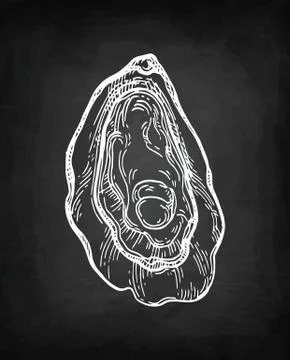 Oyster chalk sketch Illustrazione stock