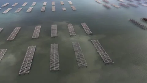 Oyster cultivation setup on the sea, rows of metal structures visible from .. Stock Footage 313736000