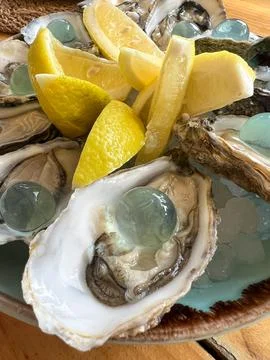Oyster with gin bubble Stock Photos