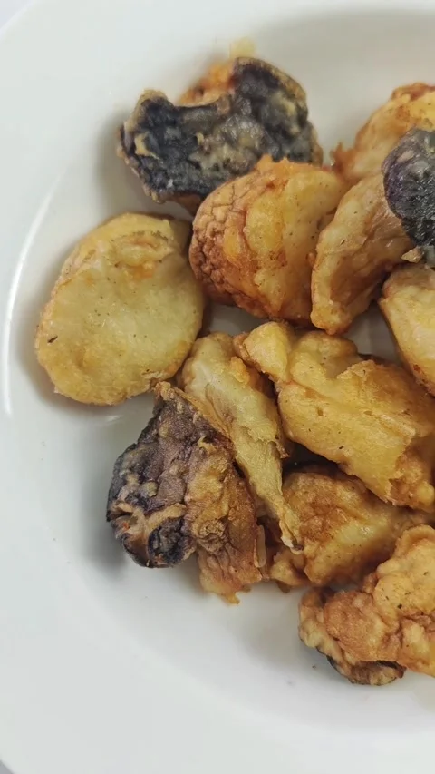 Oyster king mushrooms Stock Footage 339076476