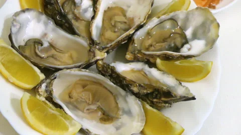 Oyster with Lemon on a Plate Vídeo Stock 171111261
