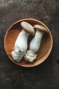 Oyster mushroom on rustic background Stock Photos