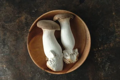 Oyster mushroom on rustic background Stock Photos