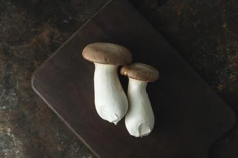 Oyster mushroom on rustic background Stock Photos