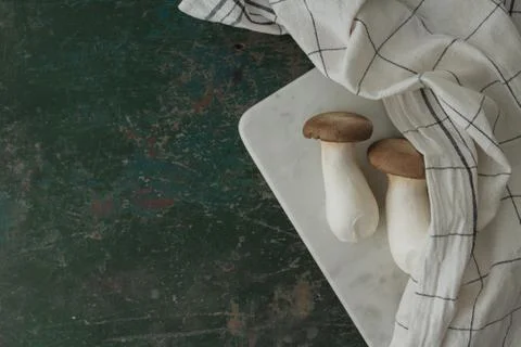 Oyster mushroom on rustic background Stock Photos