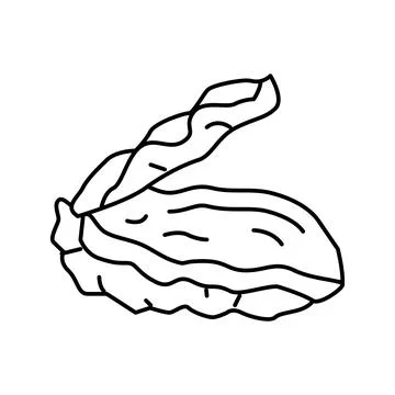 Oyster opened shell line icon vector illustration 스톡 일러스트