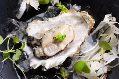 Oyster Stock Photos