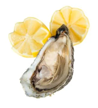 Oyster Stock Photos