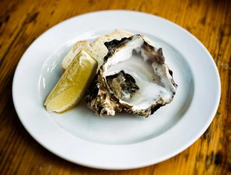 Oyster Stock Photos