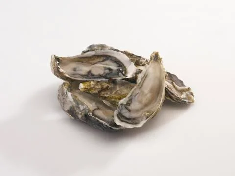 Oyster Foto stock