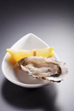 Oyster Stock Photos