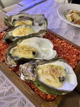 Oyster platter, dinner at a restaurant Stock Photos