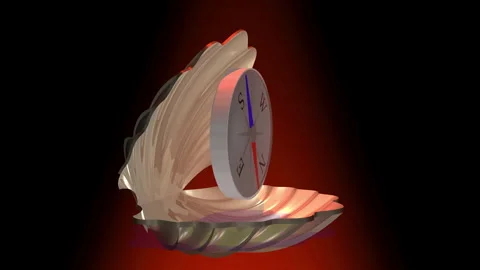 Oyster shell and compass Stock Footage 347823942