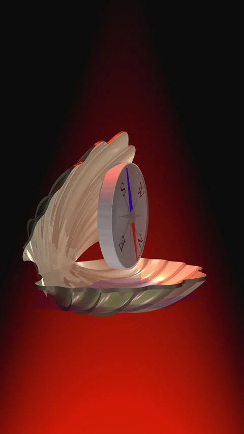 Oyster shell and compass Stock Footage 347823962