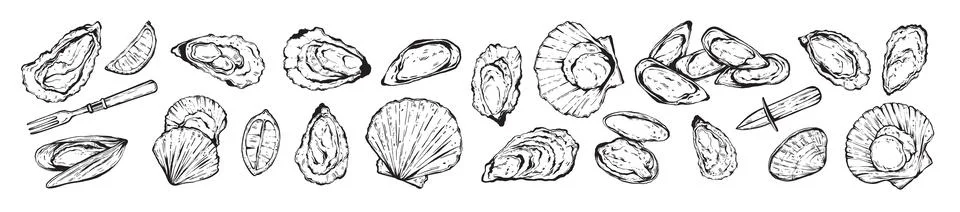 Oyster shell doodle set, ink hand drawn delicious seafood vector illustration Illustrazione stock