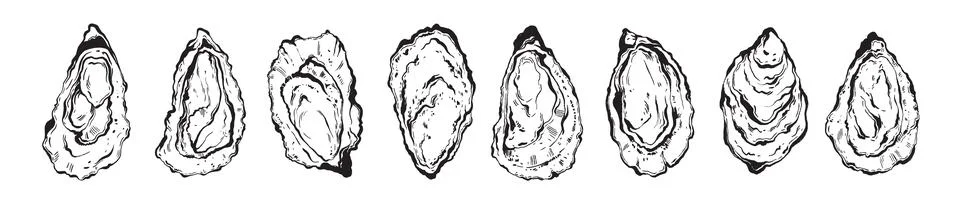 Oyster shell doodle set, vector ink hand drawn seafood illustration Illustrazione stock