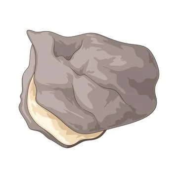 Oyster shell illustration Stock Illustration