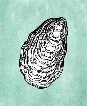 Oyster shell ink sketch Illustrazione stock
