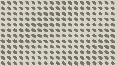 Oyster Shell Mineral Flake Premium Tactile Loop Stock Footage 344395967