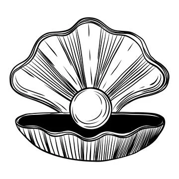 Oyster Shell with Pearl Hand Drawn Sketch Stock Illustration
