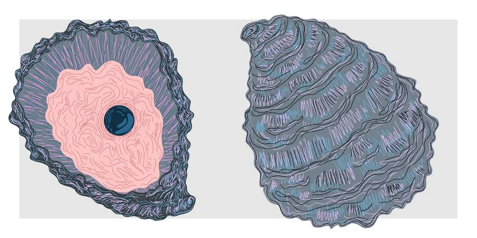 Oyster shell with pearl. Mediterranean elements, exotic tropical. Textured il Stock Illustration