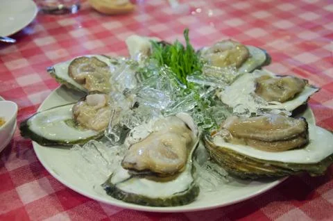 Oyster shell Stock Photos