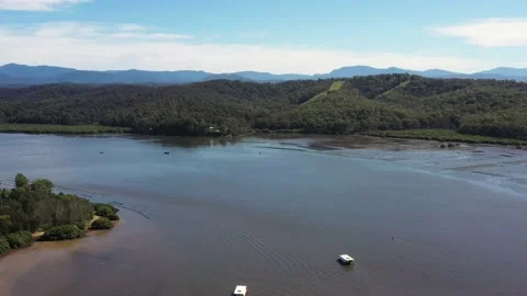 Oyster shellfish farms in Clyde river of Batemans bay town of Australia – 4k. Stock Footage 194591518