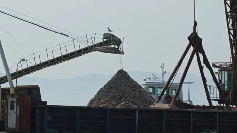 Oyster Shells on a Conveyor Belt. Stock Footage 235396172