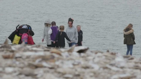 Oyster Shells covering Whitstable Seafront beach with visiting tourists Stock Footage 88412583