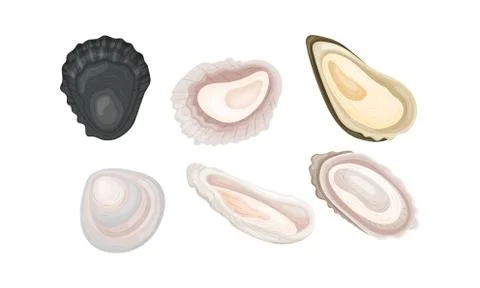 Oyster Shells of Different Shapes Vector Set Illustrazione stock