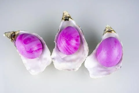 Oyster shells with pink easter colored eggs isolated on a grey background. Stock Photos
