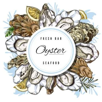 Oyster shells on template of menu or banner, engraving vector illustration. イラスト素材