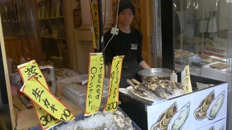 Oyster Stall Inside The Biggest Fish Market In Tokyo, Japan Stock Footage 158991675