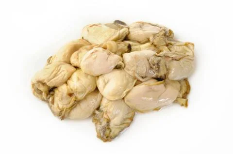 Oyster on white Stock Photos