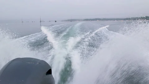 Oyster001 Stock Footage 231801487