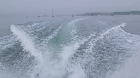 Oyster002 Stock Footage 231801488