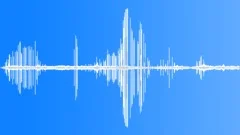 Oystercatcher Alarm Calls CU Sound Effect