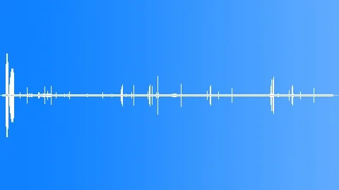 Oystercatcher MCU Calls Sound Effect