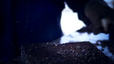 Oysters 1 Stock Footage 74875213