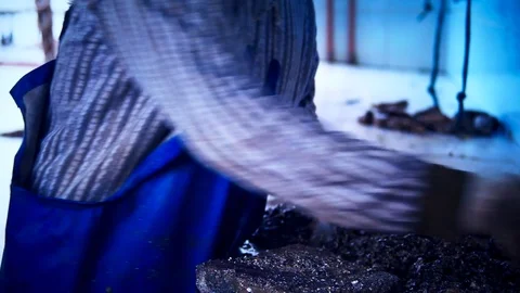 Oysters 2 Stock Footage 74875202