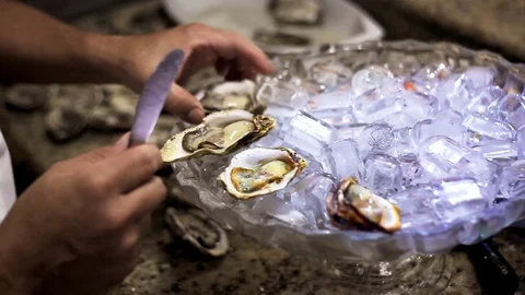 Oysters 3 Video stock 74874200