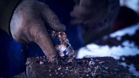 Oysters 6 Stock Footage 74875225