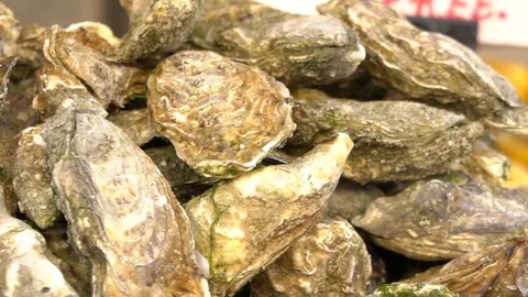 Oysters and lemon Stock Footage 82064333