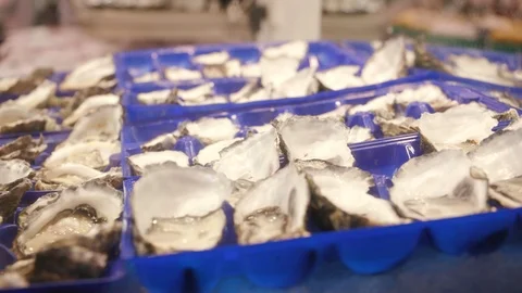 Oysters in blue containers Stock Footage 106592379