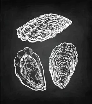 Oysters chalk sketch Stock Illustration