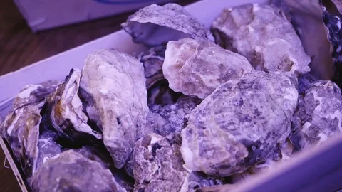 Oysters in closed shells are in the dish in the restaurant. Stock Footage 111952244