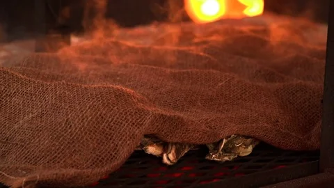 Oysters Covered Over a Fire Stock Footage 72988154