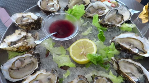 Oysters Stock Footage 31340881